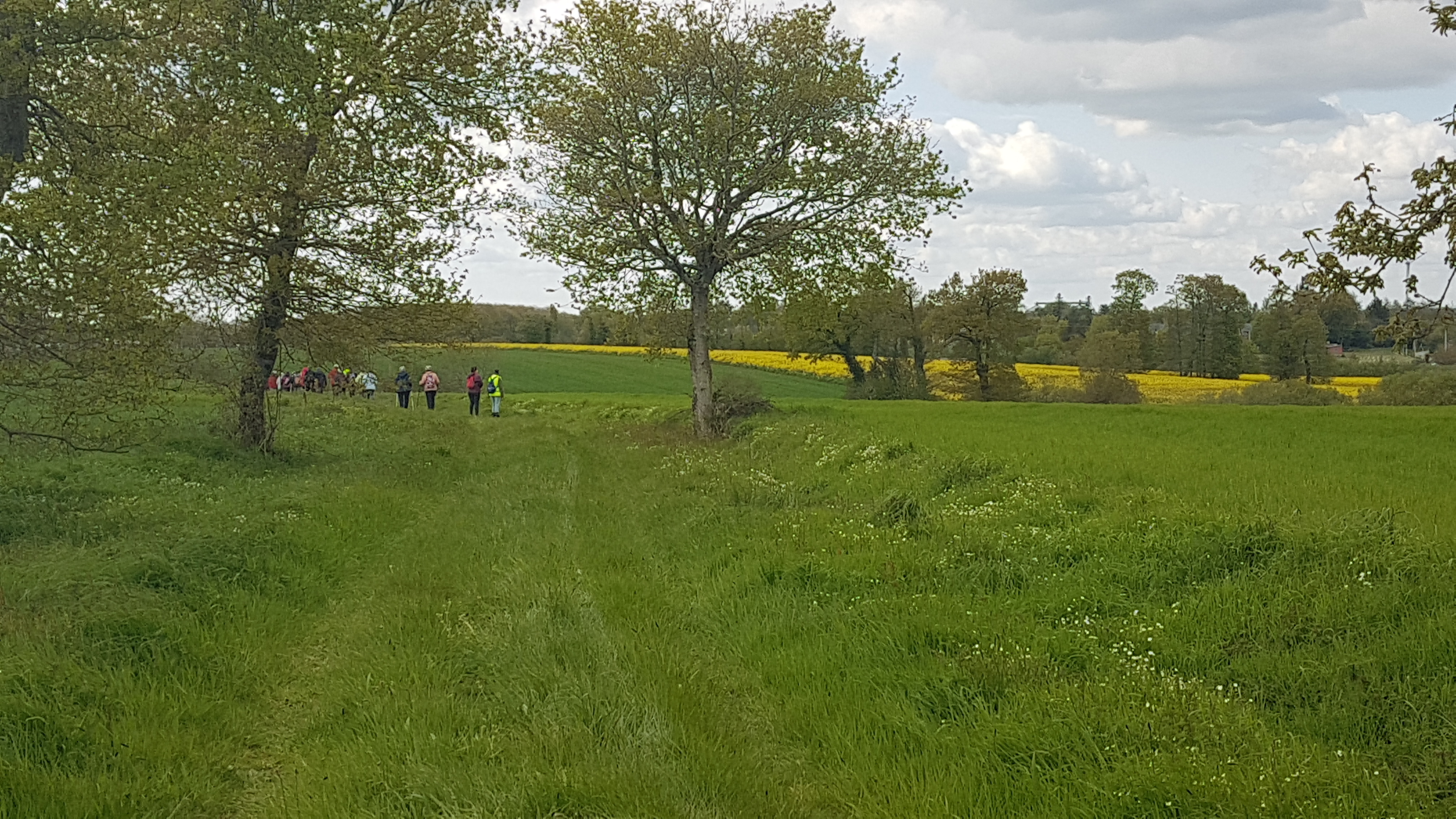 Randonnée buissonnière